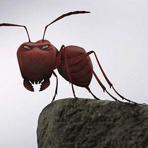 Photo Minuscule - La vallée des fourmis perdues