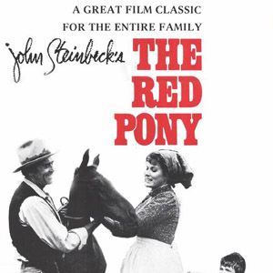 Photo Le Poney rouge