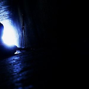 Photo The Human Race