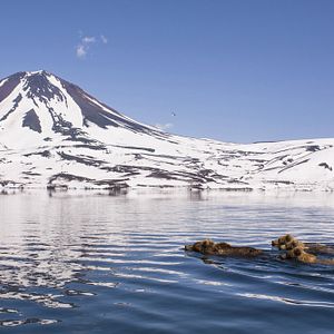Photo Terre des Ours