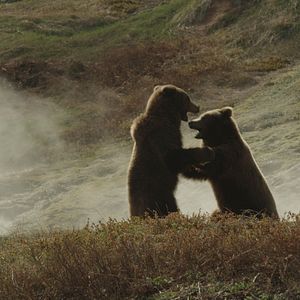 Photo Terre des Ours