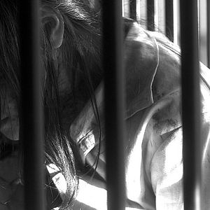 Photo Miss Zombie