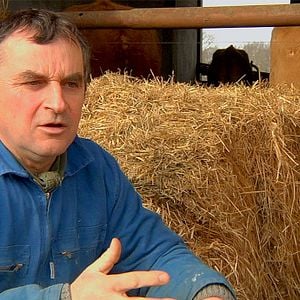 Photo Les petits gars de la campagne