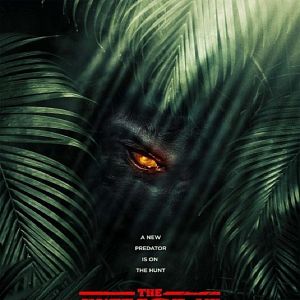 Photo The Jungle