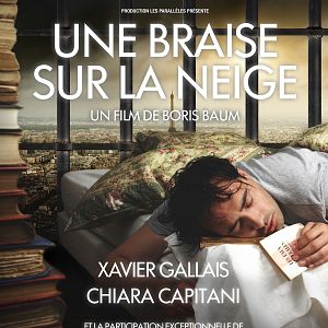 Photo Une braise sur la neige