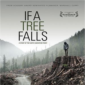 Photo If a Tree Falls