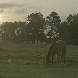 Photo Dakota's Summer