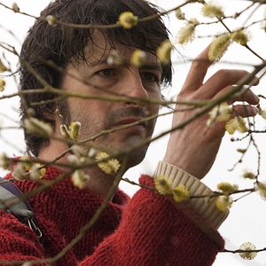 Photo Laurent Voiturin