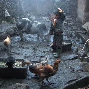 Photo Les Trois soeurs du Yunnan