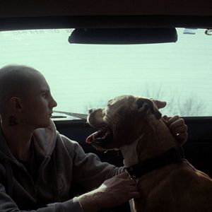 Photo My Dog Killer