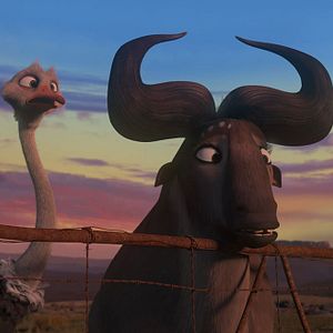 Photo Khumba