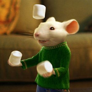 Photo Stuart Little