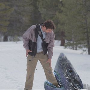 Photo Avalanche Sharks - les dents de la neige