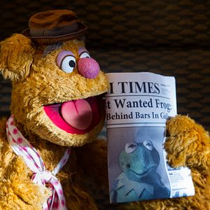 Photo Muppets most wanted