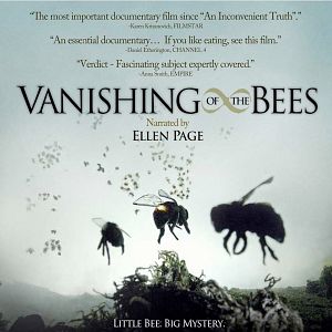 Photo Vanishing of the Bees