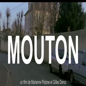 Photo Mouton