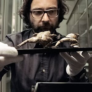 Le Grand Musée : Photo