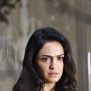 Photo Nazanin Boniadi