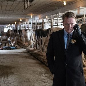 Photo Aidan Quinn