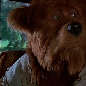 Photo The Country Bears