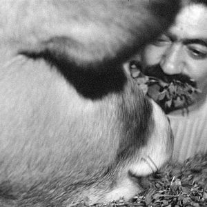 Photo La Vache