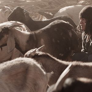 Photo Francisca Gavilán