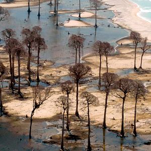 Photo Tsunami : Les jours d'après