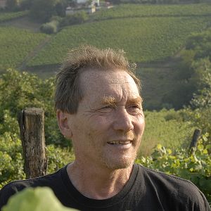 Photo Stefano Bellotti