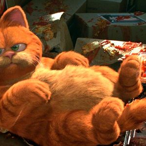 Photo Garfield