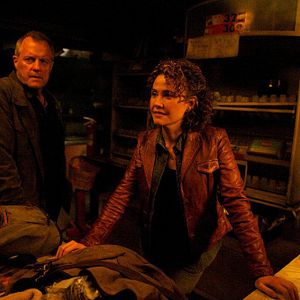 Photo Stephen Collins