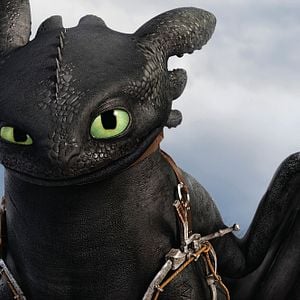 Photo Dragons 2