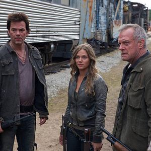 Photo Stephen Collins