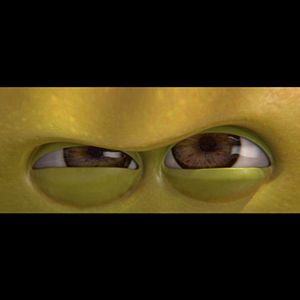 Photo L'Effet Papayon