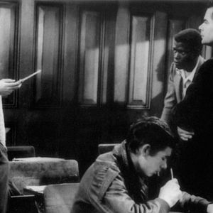 Photo Graine de violence