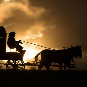 Photo The Homesman