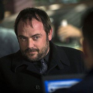 Photo Mark Sheppard