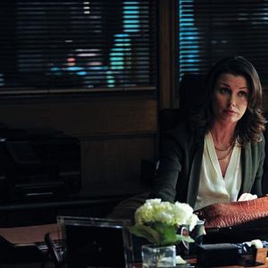 Photo Bridget Moynahan