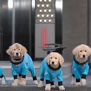Photo Les Copains dans l'espace (TV)