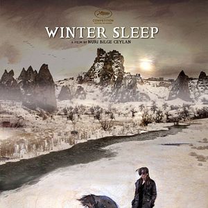 Photo Winter Sleep