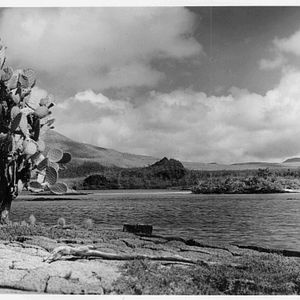 Photo The Galapagos Affair: Satan Came To Eden