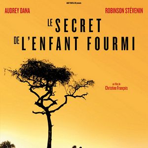 Photo Le Secret de l'enfant fourmi