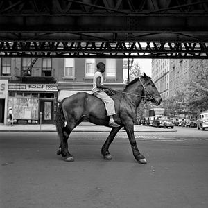 Photo A la recherche de Vivian Maier