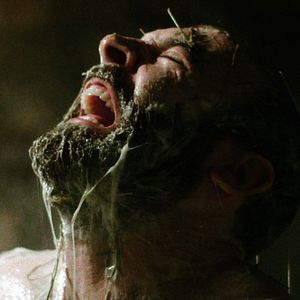 Photo Graham Skipper