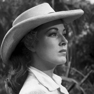 Photo Quand la Marabunta gronde