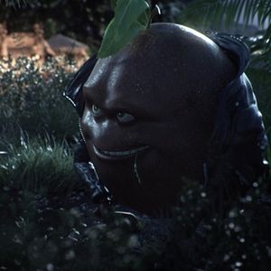 Photo L'Effet Papayon