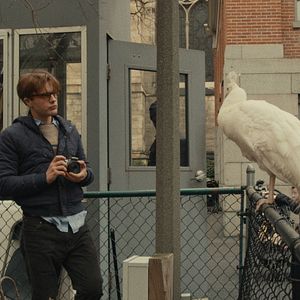 Photo I Origins