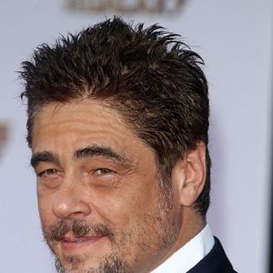 Photo Benicio Del Toro