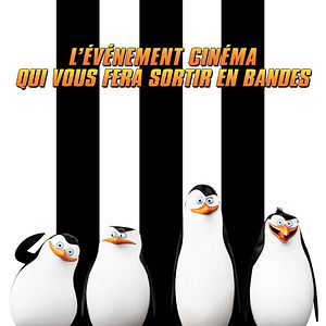 Photo Les Pingouins de Madagascar