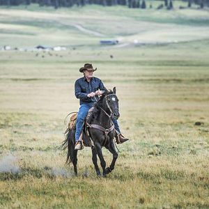 Photo Robert Taylor (II)