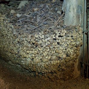 Photo Catacombes